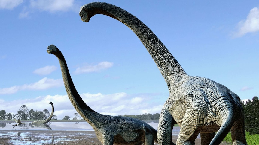 Artist's impression of Savannasaurus elliottorum