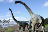 Artist's impression of Savannasaurus elliottorum