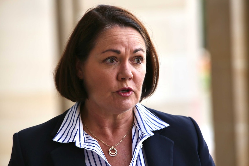 WA Opposition Leader Liza Harvey speaks outside of parliament, wearing a blue jacket.