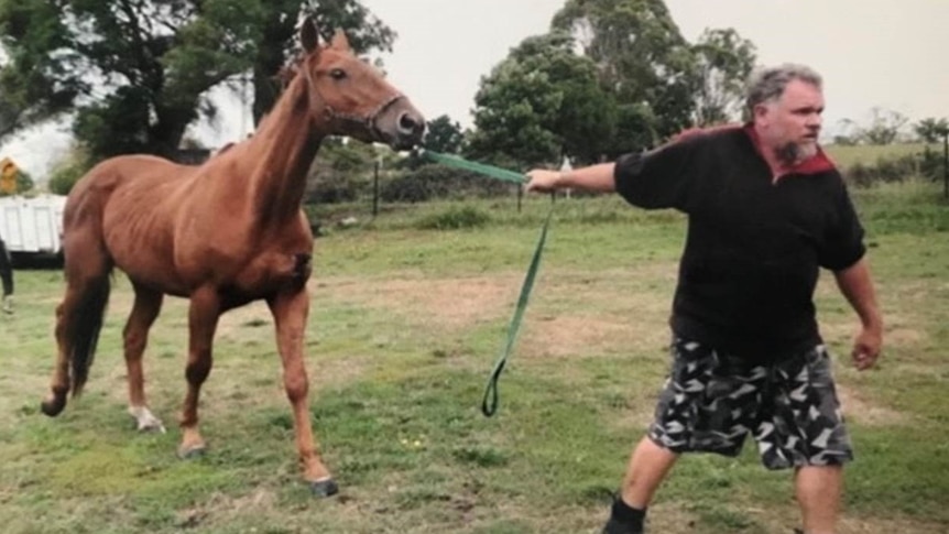 A man leads a horse by its bridle.