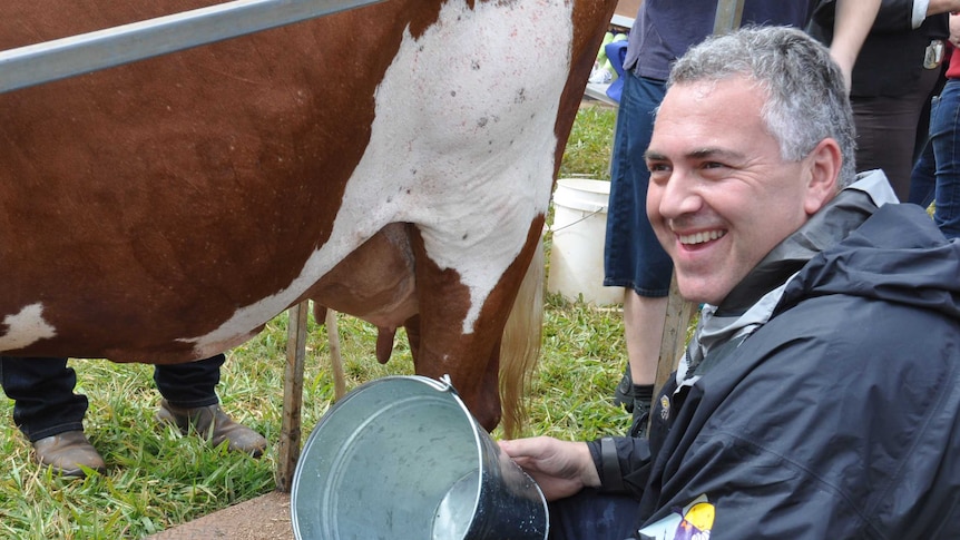 Coalition frontbencher Joe Hockey tries not to cry over spilt milk at the Malanda show in far north Qld.