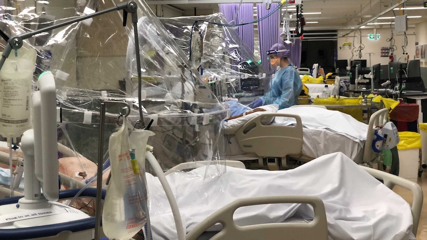 Patients lying in bed in ICU under plastic ventilation hoods.