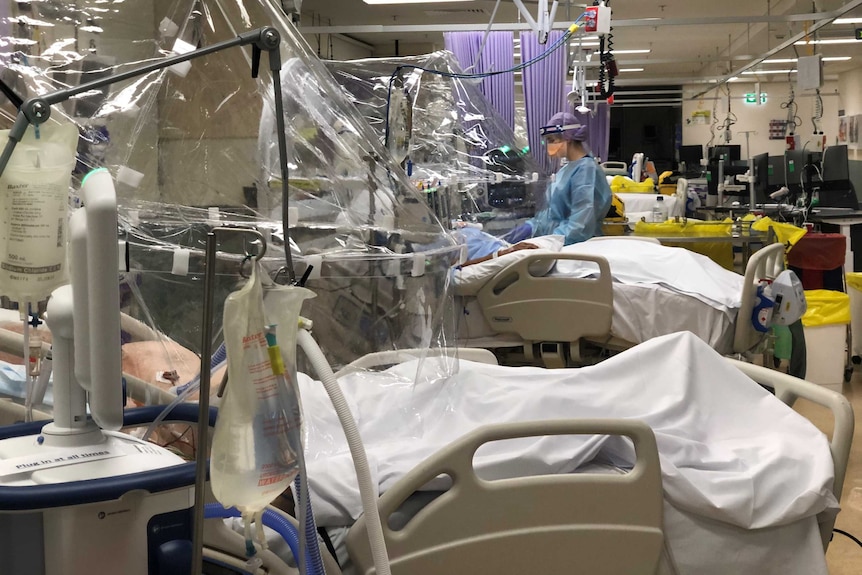 Patients lying in bed in ICU under plastic ventilation hoods.
