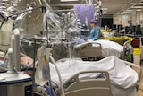 Patients lying in bed in ICU under plastic ventilation hoods.