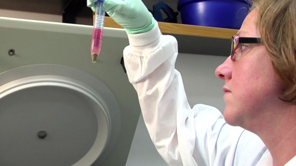 Play Video. Duration: 30 seconds