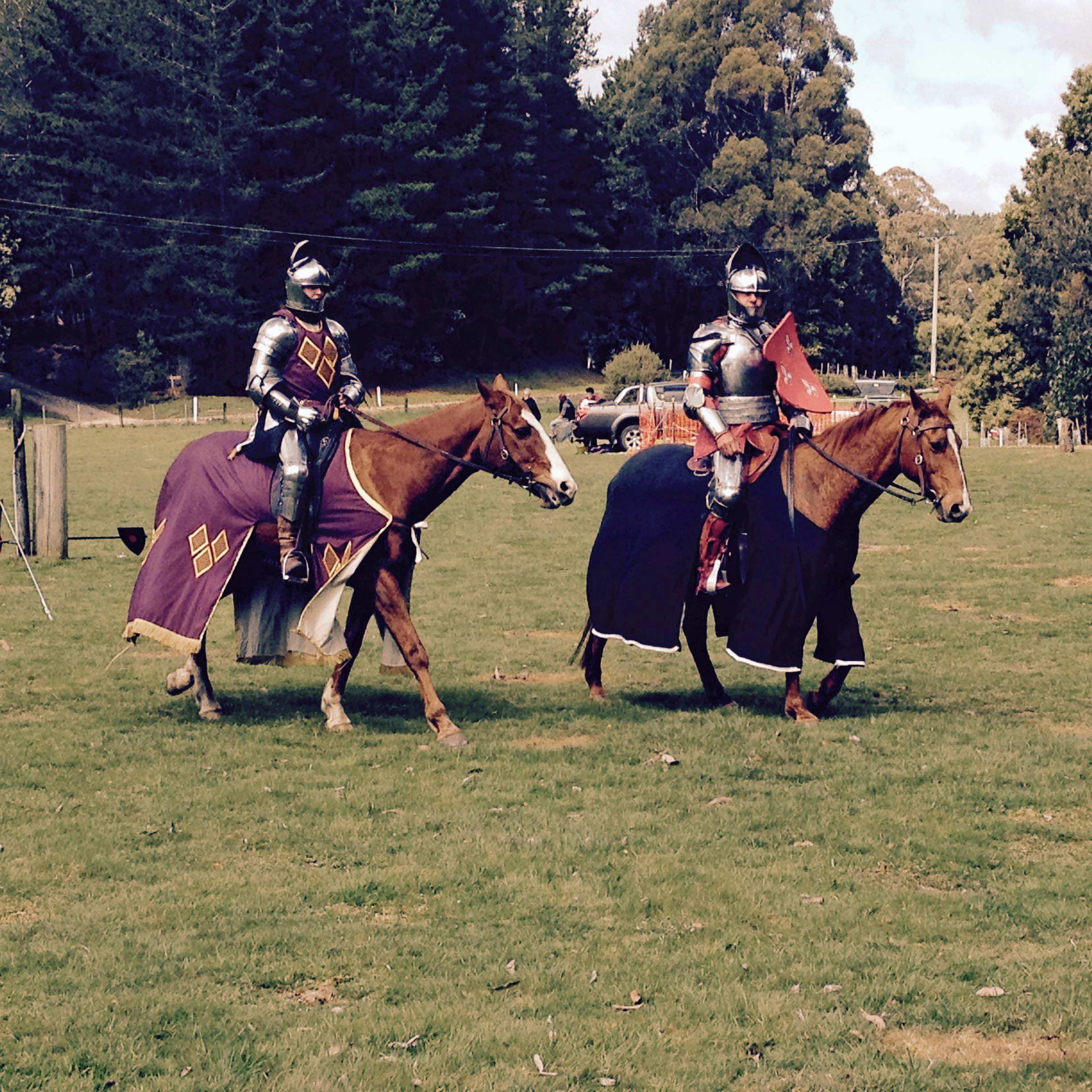 Medieval festival takes Wynyard back in time to 'days of old' - ABC News