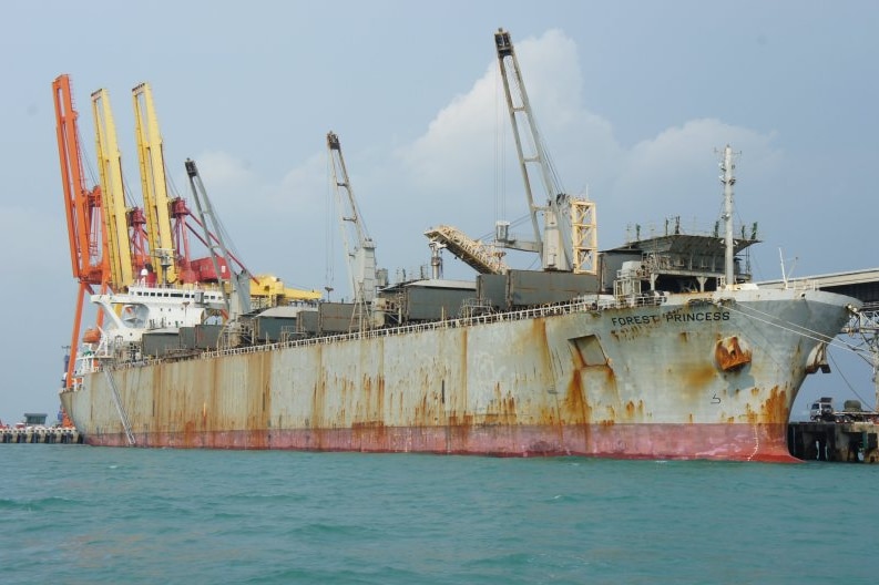 Woodchip bulk carrier in port.