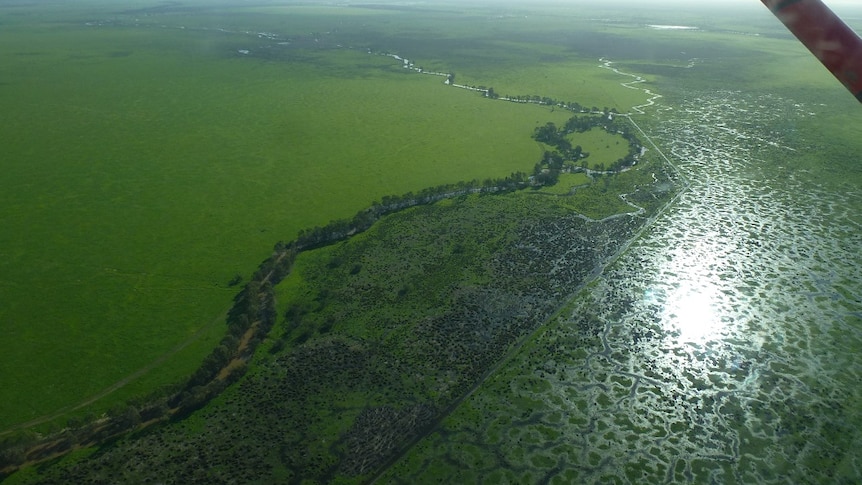Lush green fields and waterways shown from the air