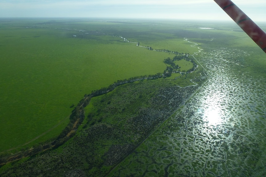 Lush green fields and waterways shown from the air