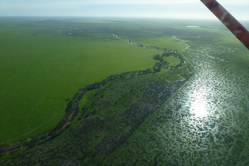 Looking at lush green fields and waterways from a plane.