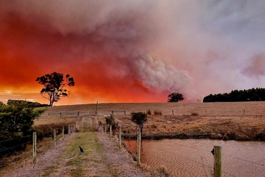 bushfire burns in distance