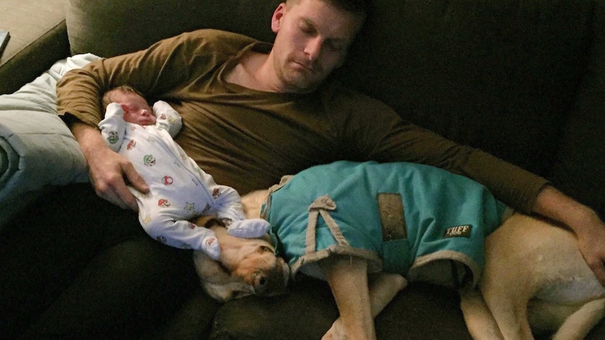 A dog called Daisy snuggles with a man and a baby on a couch.
