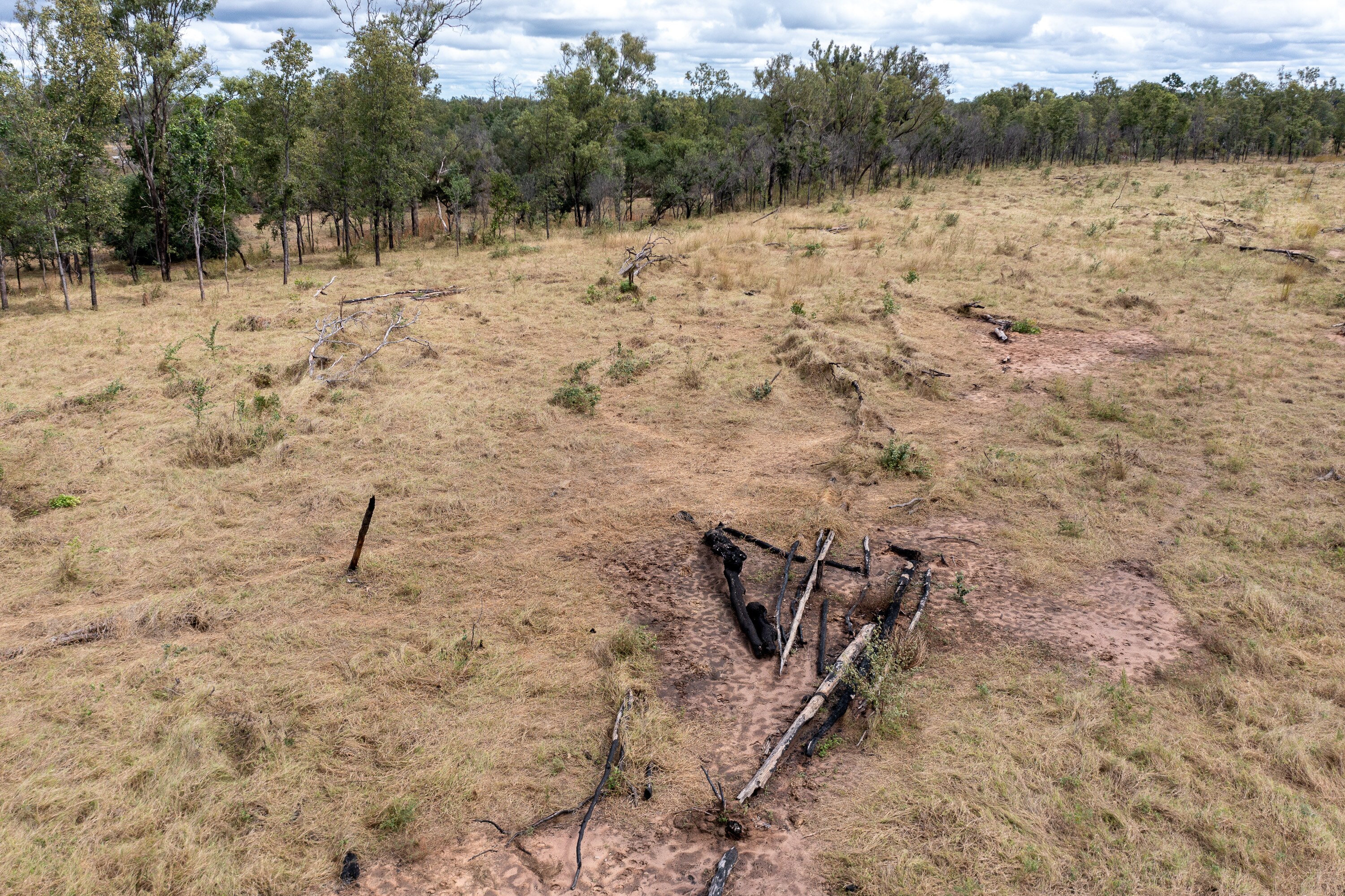 An area of cleared land bordered by tall trees.