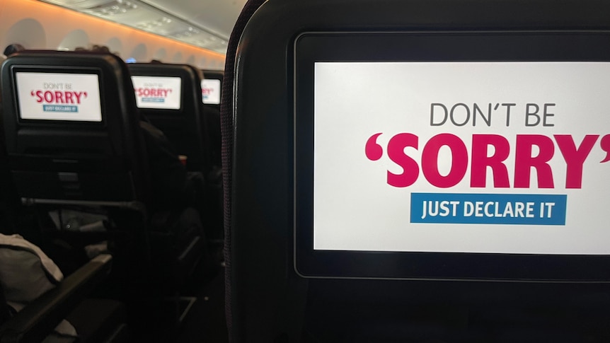 on rows of aeroplane seat screens, a message reading don't be sorry just declare it is displayed on a blank background