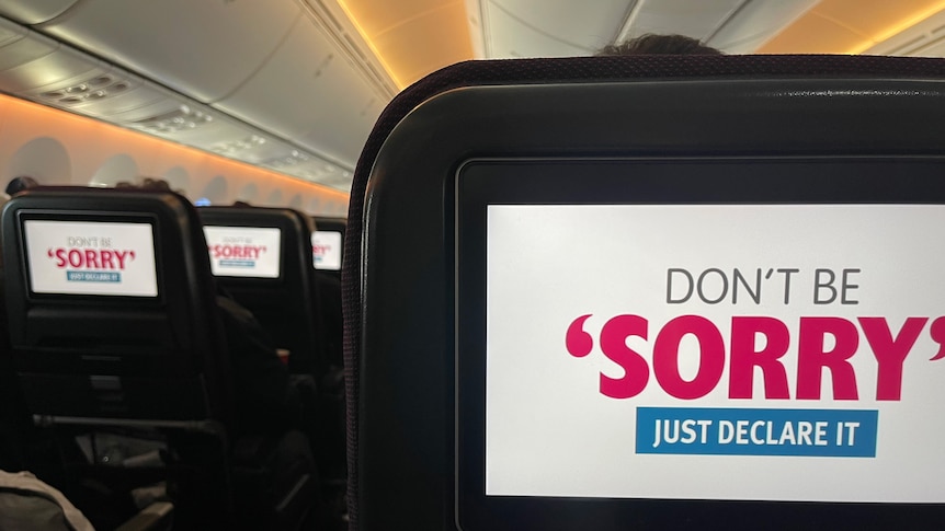 on rows of aeroplane seat screens, a message reading don't be sorry just declare it is displayed on a blank background