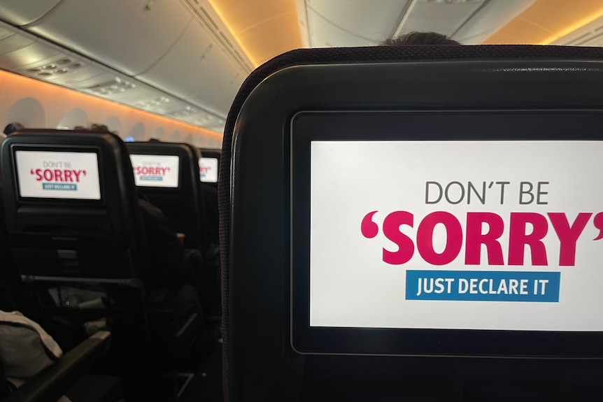 on rows of aeroplane seat screens, a message reading don't be sorry just declare it is displayed on a blank background