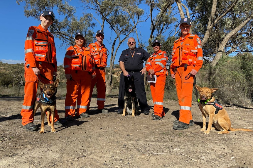 Six SES members stand with three dogs and trees, scrub in background.