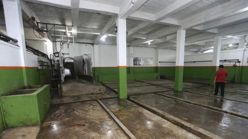 An empty concrete abattoir lined with channels and a cage in the corner.