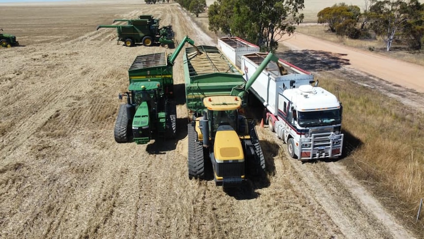 Loading grain into a truck.