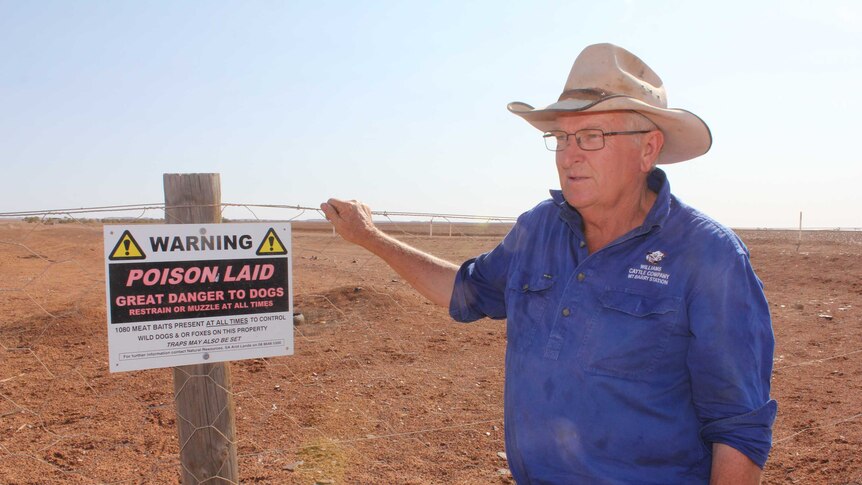 Pastoralist Tony Williams standing next to the dog fence.