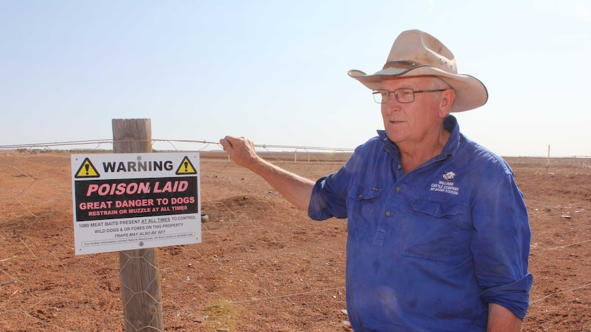 Pastoralist Tony Williams standing next to the dog fence.