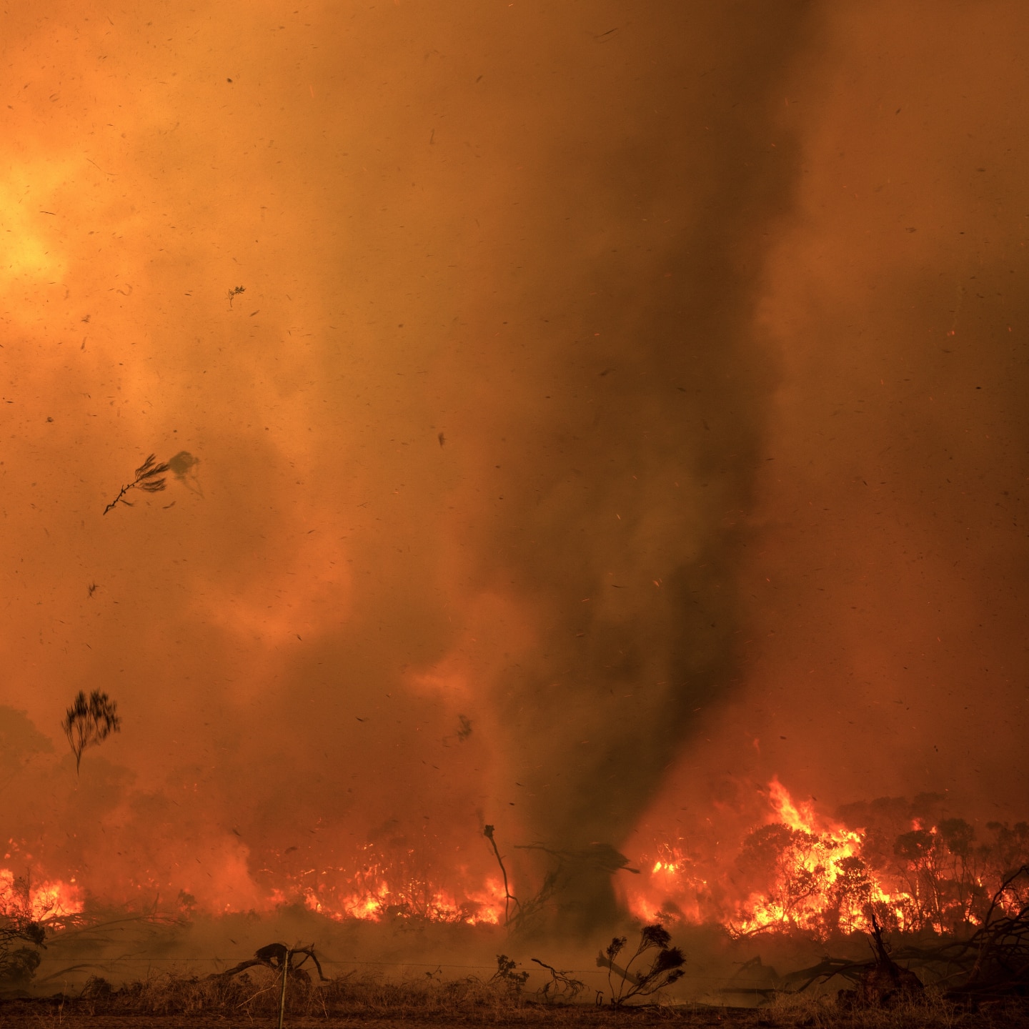 Farmers lay blame for devastating fires at WA government's feet