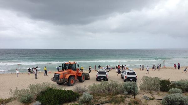 Authorities are hoping to use heavy machinery to move the dead whale off the beach.