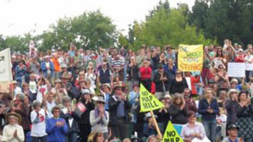 A section of the crowd protesting against Gunns' pulp mill planned for Bell Bay.