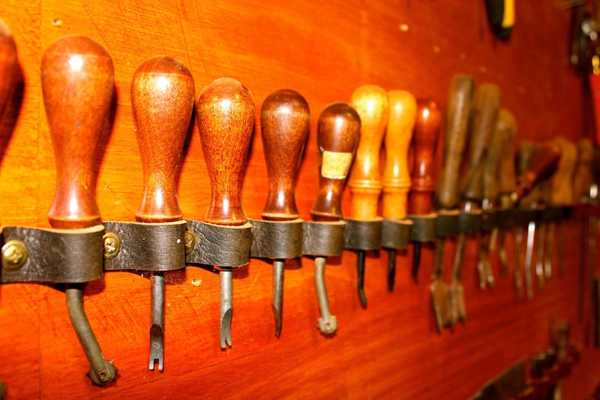 A close up of various small tools used to craft camel saddles. The tools have a wooden handle an metal extension.