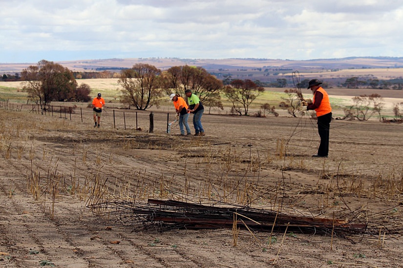 BlazeAid volunteers at Freeling