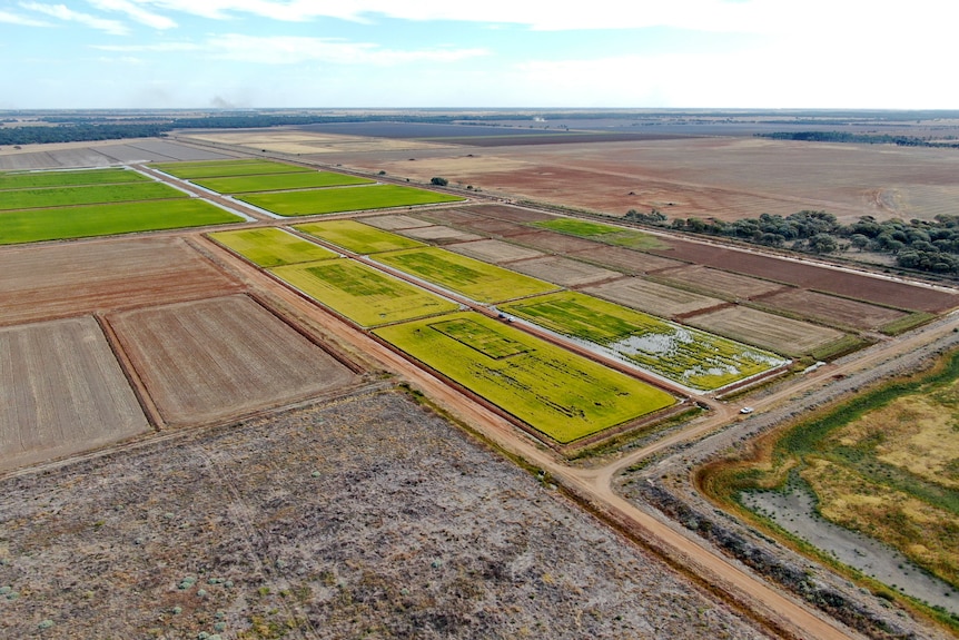 A photo of farming land taken from a drone