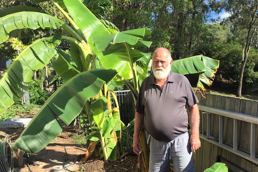 A bearded man stands next to banana trees in a backyard.