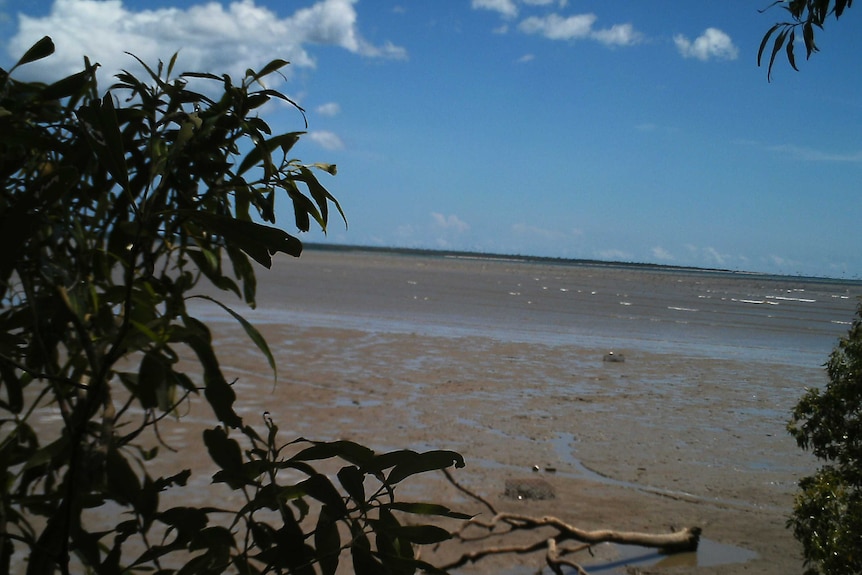 two mud crab pots at low tide