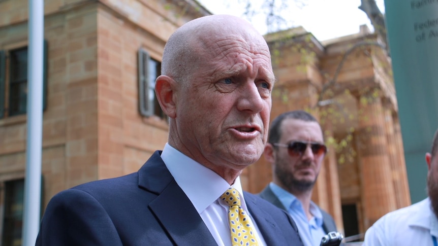Liberal Democrat Senator David Leyonhjelm talks to the media on his way in to the Federal Court in Adelaide.