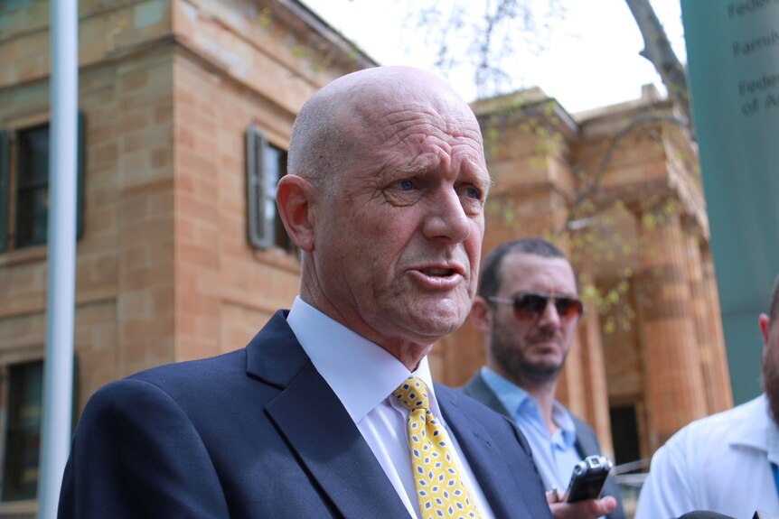 Liberal Democrat Senator David Leyonhjelm talks to the media on his way in to the Federal Court in Adelaide.