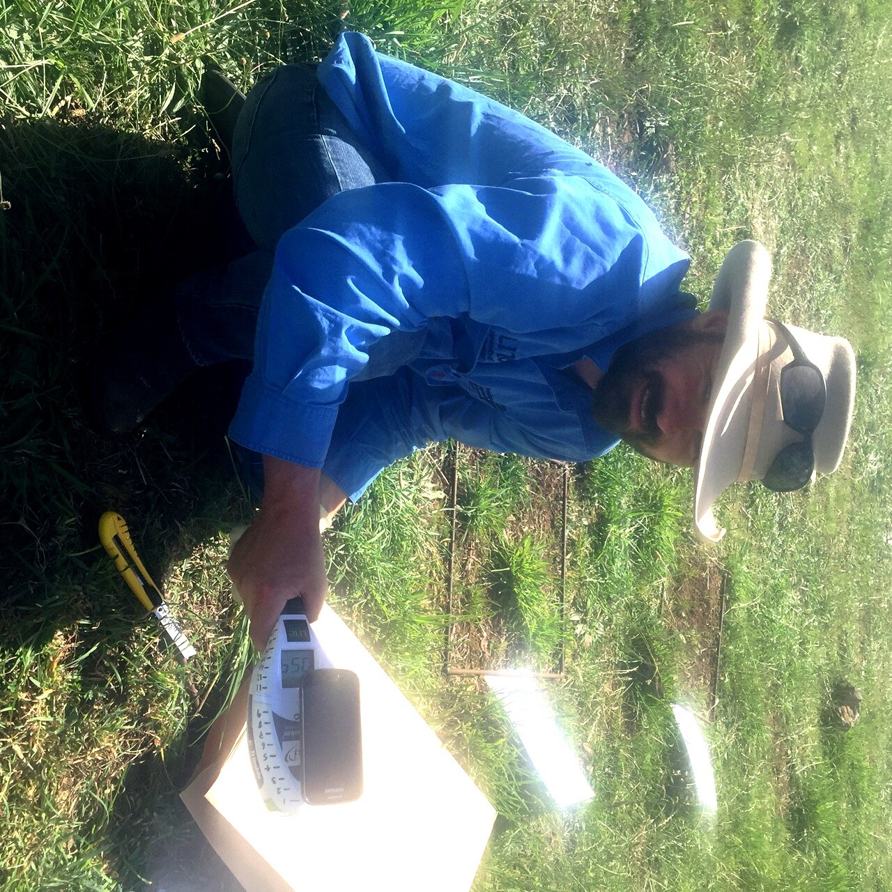 Precision agriculture driving productivity in the livestock sector ...