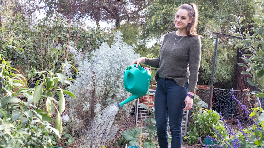 Woman waters her veggie patch in her Adelaide rental, using fertiliser to boost growth.