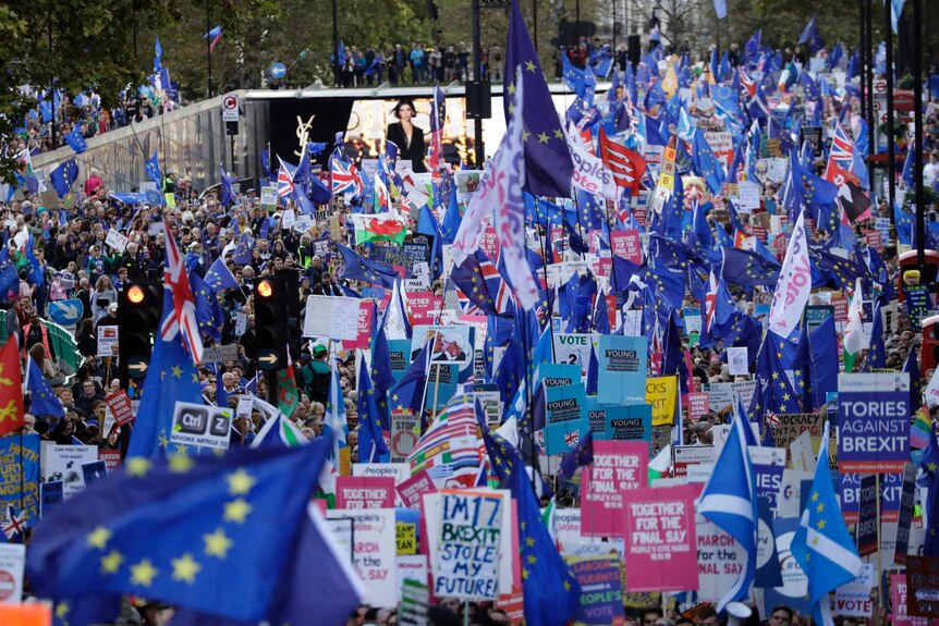 Thousands of pro-EU protesters carry flags and signs