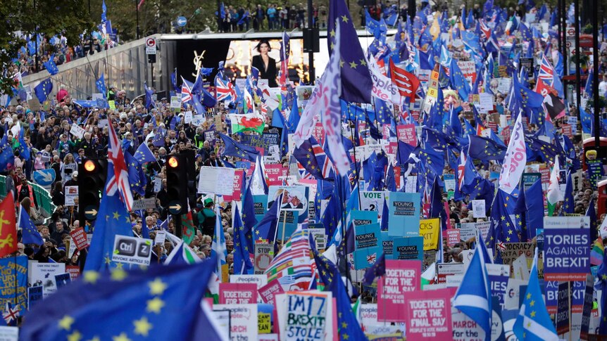 Thousands of pro-EU protesters carry flags and signs