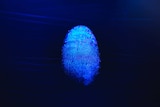 A shining fingerprint on a blue background