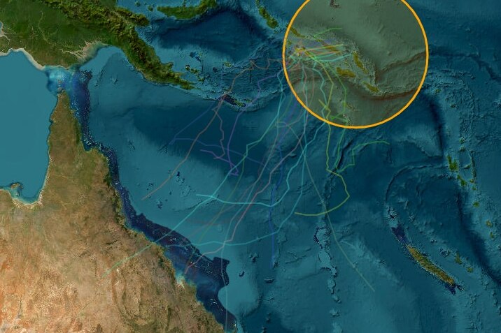 Map of Queensland and the Coral Sea showing possible cyclone paths.