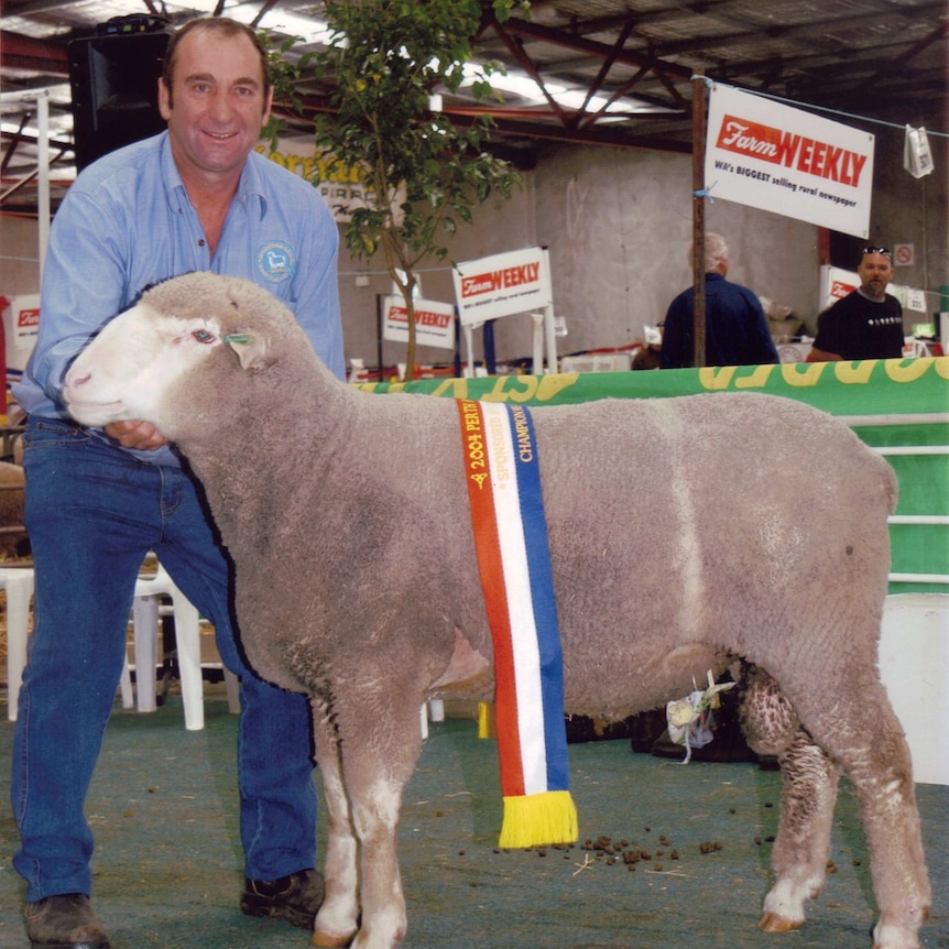 Man stands next to award winning sheep