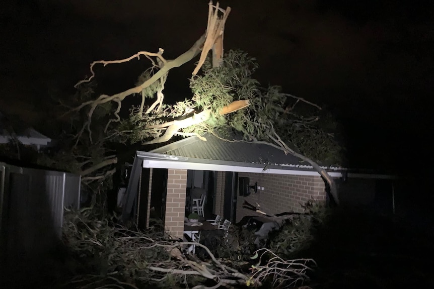 A tree towering over a brick house has snapped in half and branches are covering the roof, at night.