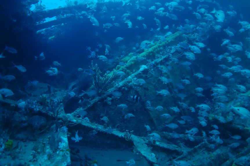 Detail of the Carlisle shipwreck