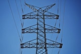 Close-up front-on photo of high tension power lines looking up to blue sky in Brisbane.