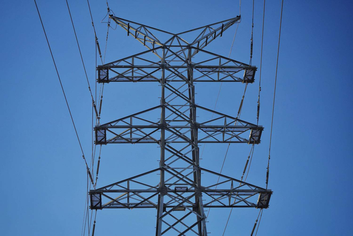 布里斯班高压电线的正面特写照片，仰望蓝天。