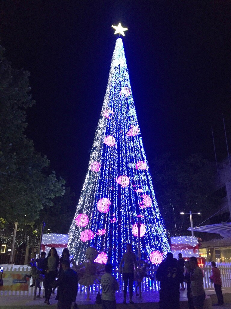 SIDS and Kids Christmas lights to stay on until new year in Canberra