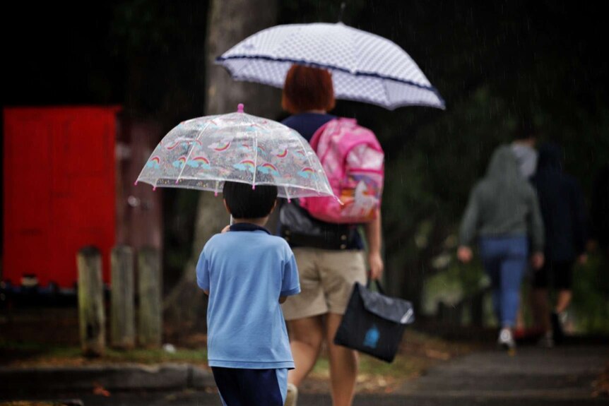 A woman and a child walking from school with umbrellas in the rain.