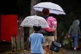 A woman and a child walking from school with umbrellas in the rain.