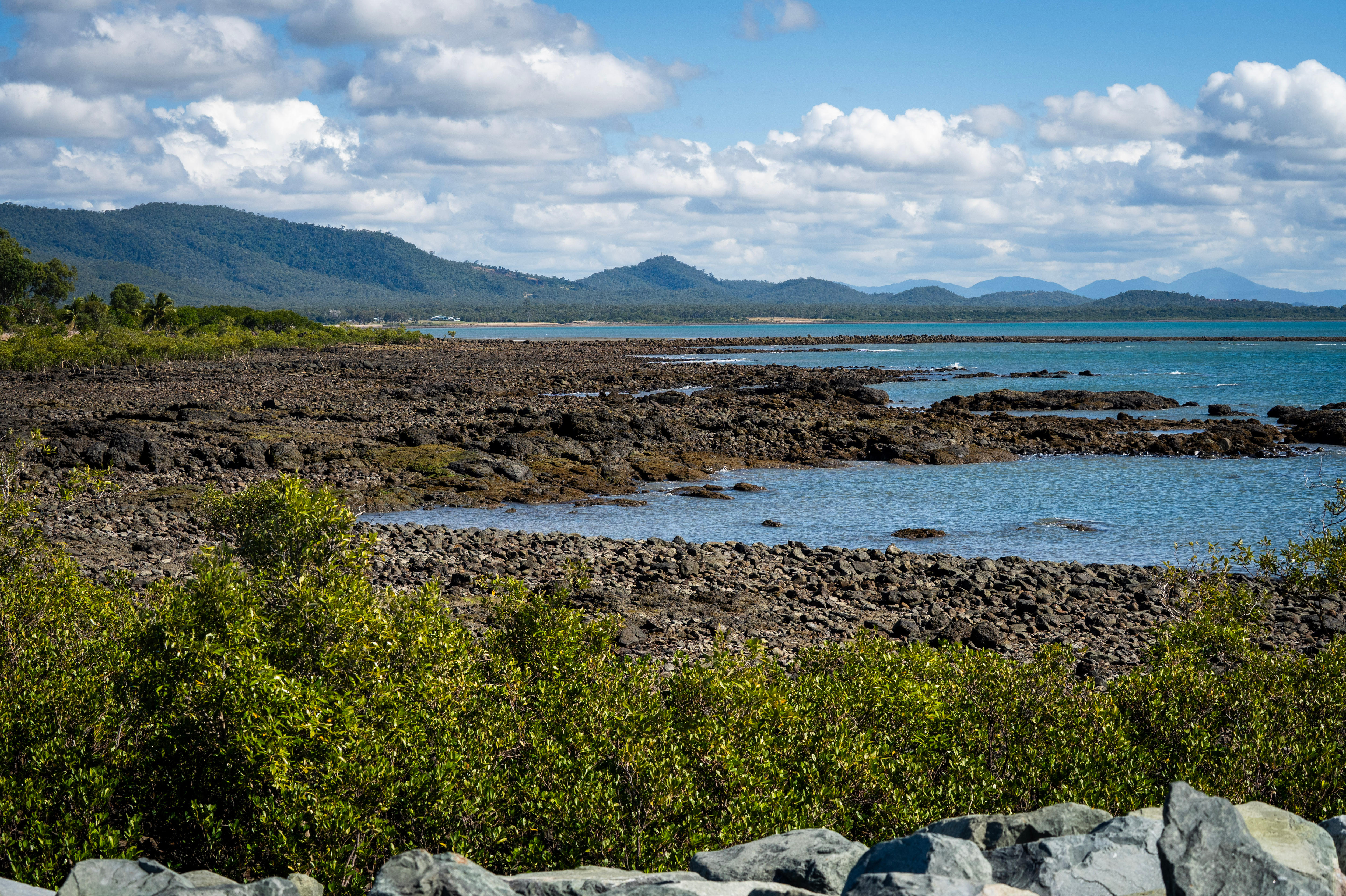 A stretch of rocky coastline with mangroves and hills in the distance.